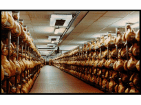 HAM SEASONING ROOM - Parma - Italy